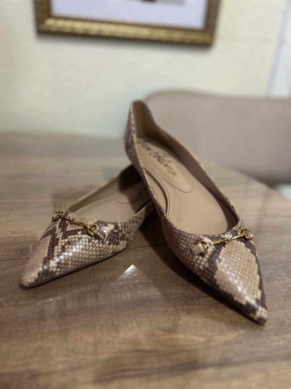 Nori Pointed Toe Flat